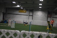 Enlarge photo 213