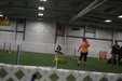 Enlarge photo 217