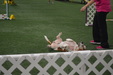 Enlarge photo 219