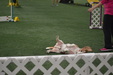 Enlarge photo 218