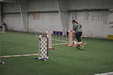 Enlarge photo 223