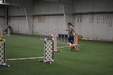 Enlarge photo 226
