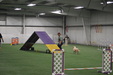 Enlarge photo 229
