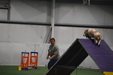 Enlarge photo 237