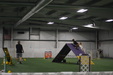 Enlarge photo 242