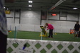 Enlarge photo 246