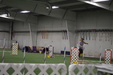 Enlarge photo 250