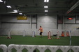 Enlarge photo 254