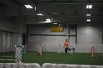 Enlarge photo 258