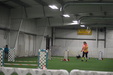 Enlarge photo 259