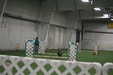 Enlarge photo 265