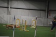 Enlarge photo 271