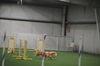 Enlarge photo 273