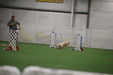 Enlarge photo 277