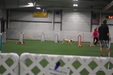 Enlarge photo 283