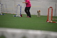 Enlarge photo 287