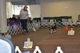 Enlarge photo 24