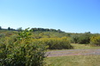 Field trial 