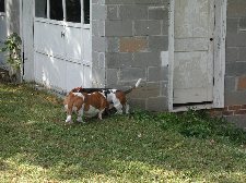 Enlarge photo 51