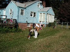 Enlarge photo 53
