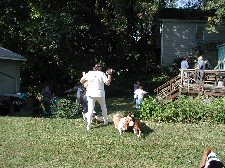 Enlarge photo 55