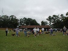 Enlarge photo 106