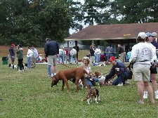 Enlarge photo 107