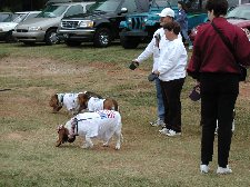 Enlarge photo 114