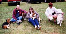 BassetStock 2001