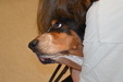 Enlarge photo 34