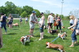 Enlarge photo 39