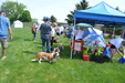 Enlarge photo 41