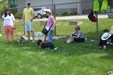 Enlarge photo 43
