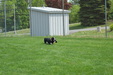 Enlarge photo 47