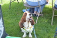 Enlarge photo 58