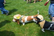 Enlarge photo 59