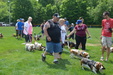 Enlarge photo 66