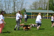 Enlarge photo 68