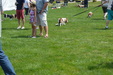 Enlarge photo 74