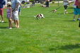Enlarge photo 75