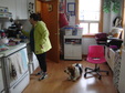 Enlarge photo 6