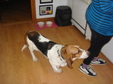 Enlarge photo 5