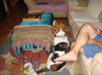 Enlarge photo 4