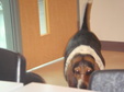 Enlarge photo 23