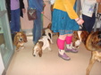 Enlarge photo 22