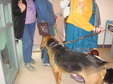 Enlarge photo 21