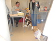 Enlarge photo 18