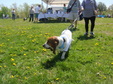 Enlarge photo 64
