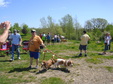 Enlarge photo 54