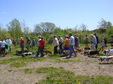 Enlarge photo 51